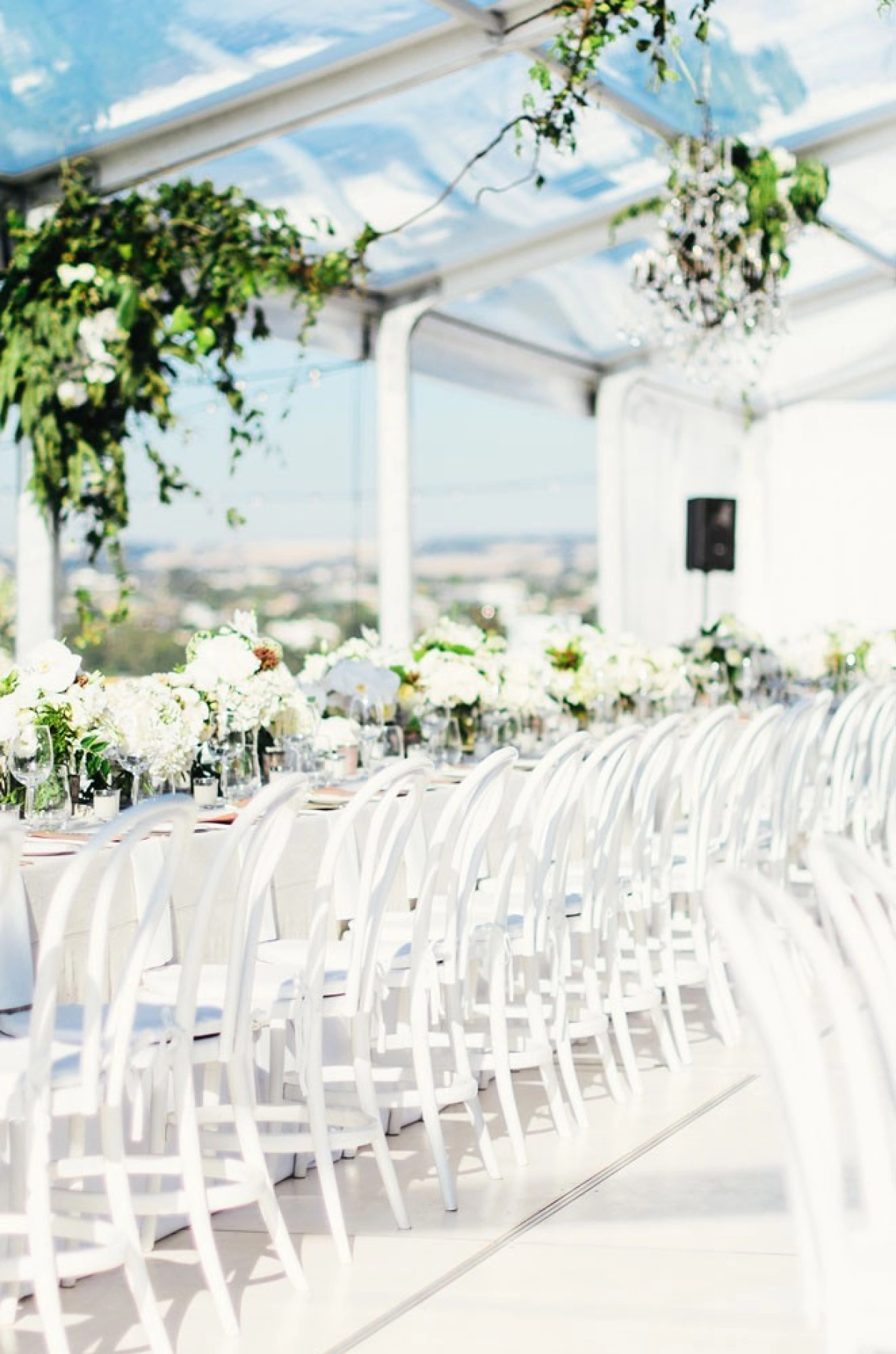 Bentwood Dining Chairs White  Copy.jpg