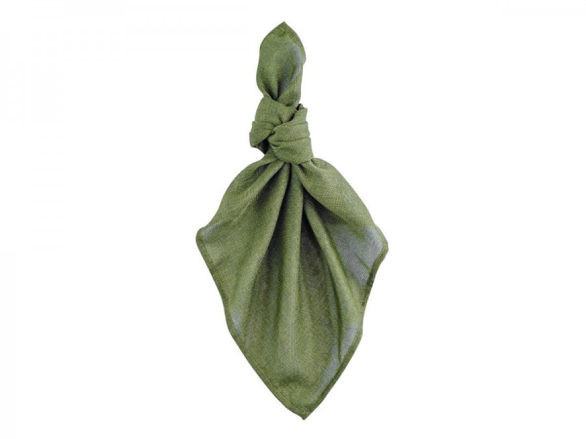 Olive Green Napkin   Fold.jpeg