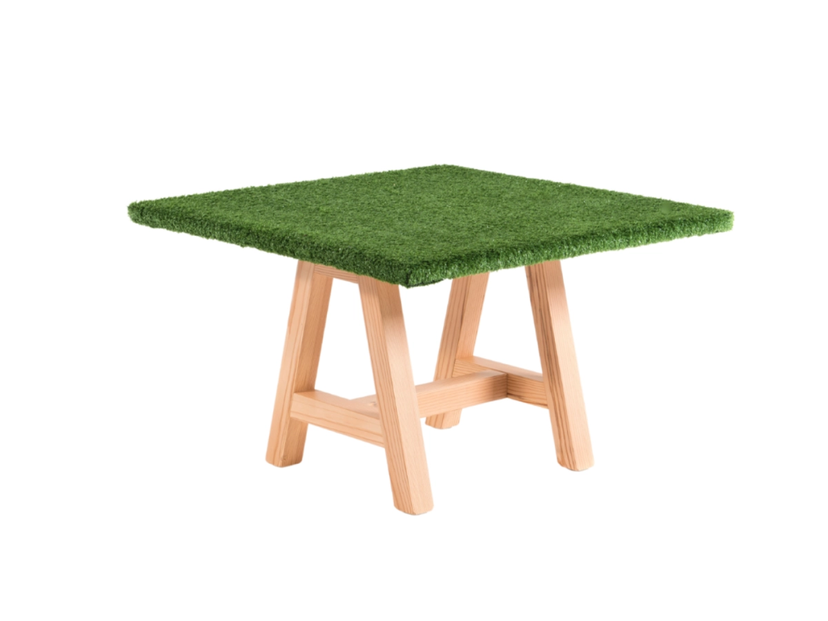 Oregon Grass Resized .png