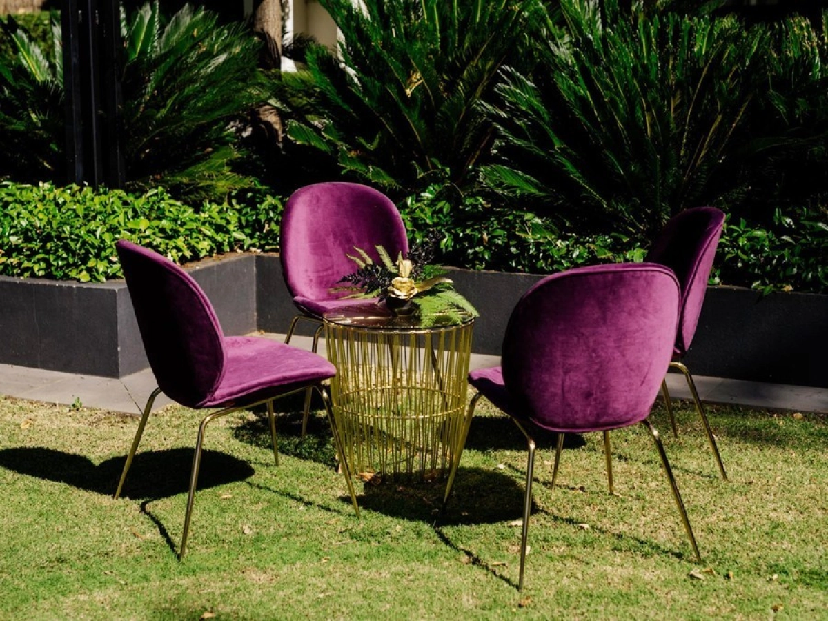 Zara Burgundy Dining Chair 1.jpeg